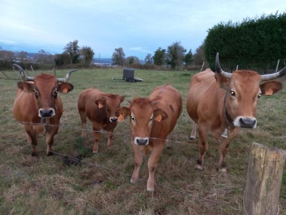Casa Con Finca En Oviedo El Casero ภายนอก รูปภาพ
